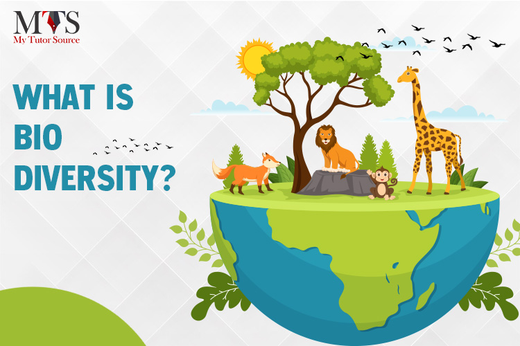 Biodiversity