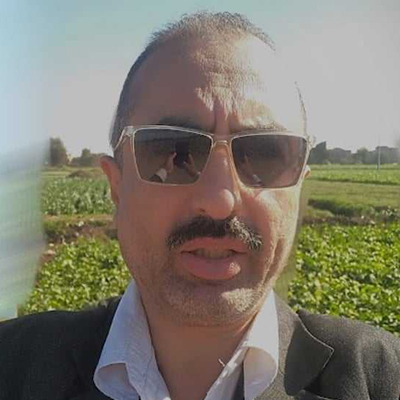 Aly Elsherif